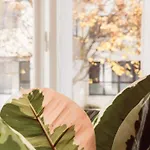 Weekends Centre - Free Parking, Pets Welcome & Walk To Old Town - - Kunsthaus