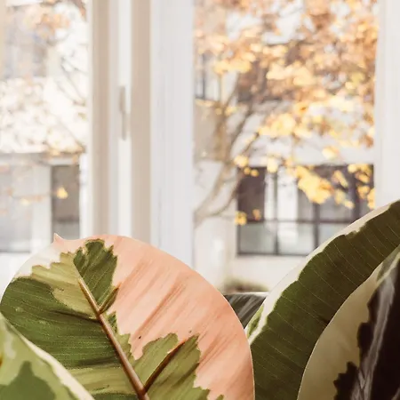 Weekends Centre - Free Parking, Pets Welcome & Walk To Old Town - - Kunsthaus