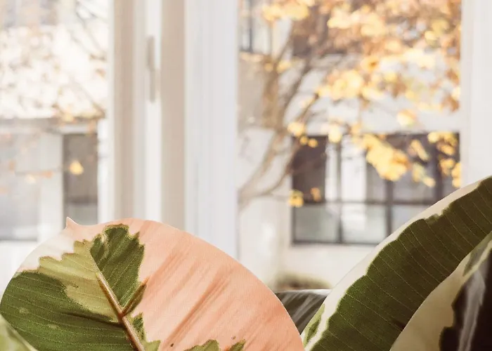 Weekends Centre - Free Parking, Pets Welcome & Walk To Old Town - - Kunsthaus